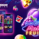 Amigo Multifruits